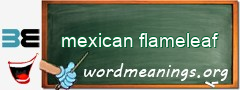 WordMeaning blackboard for mexican flameleaf